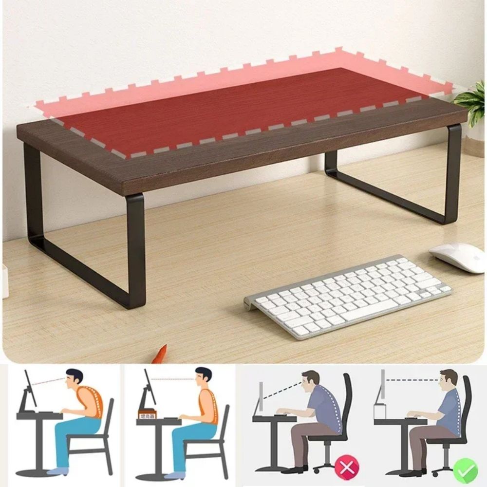 Computer Monitor Elevated Moni - Document Holder Monitor recensione e prezzo